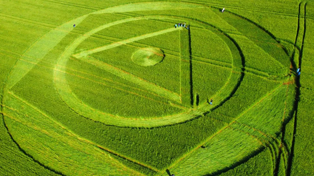 O Que S O Os Agroglifos Entenda Os Misteriosos C Rculos Nas Planta Es