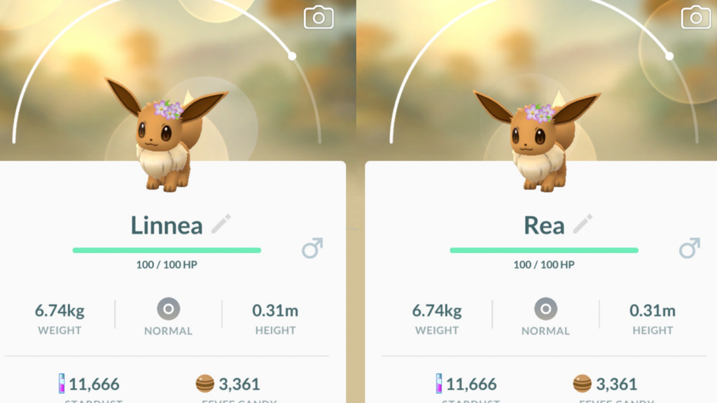 Como Evoluir O Eevee Para Glaceon E Leafeon Em Pok Mon Go Canaltech