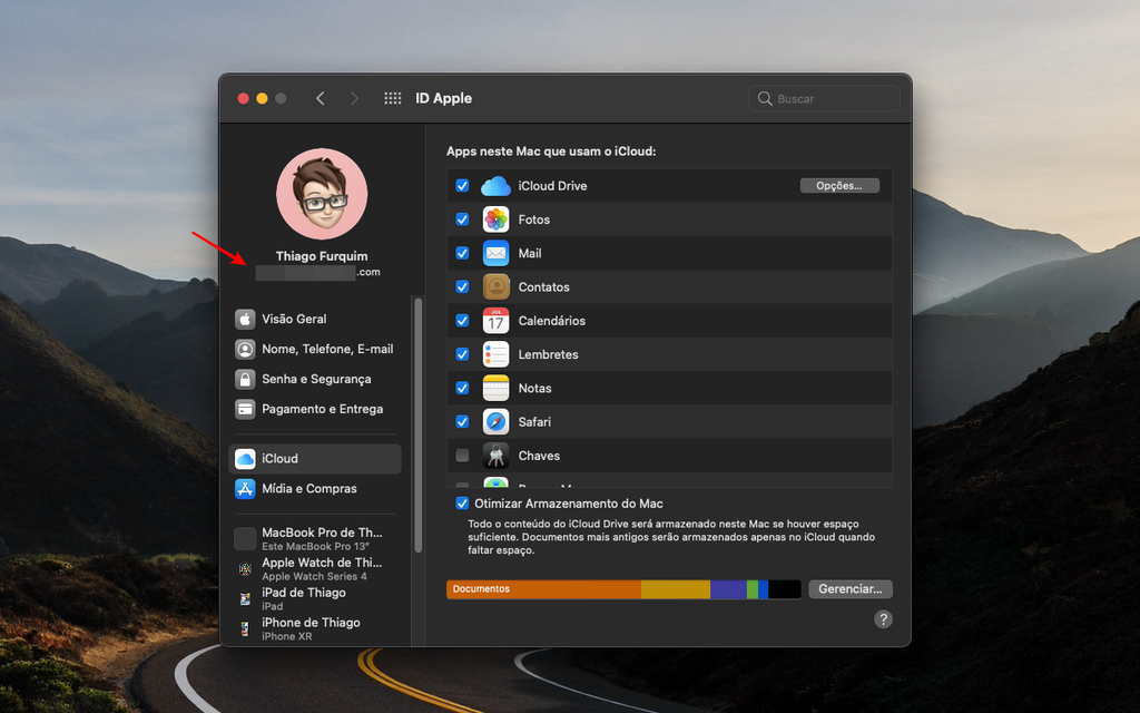 Encontre seu ID Apple nas preferências de sistema do Mac (Captura de tela: Thiago Furquim)