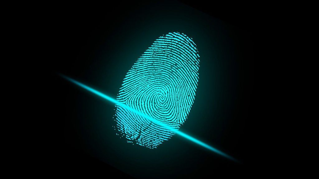 Leitura biométrica exige cadastro correto das digitais no sistema (Imagem: Reprodução/ar130405/Pixabay)