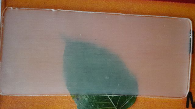 Reprodução/Universidade de Nova Déli