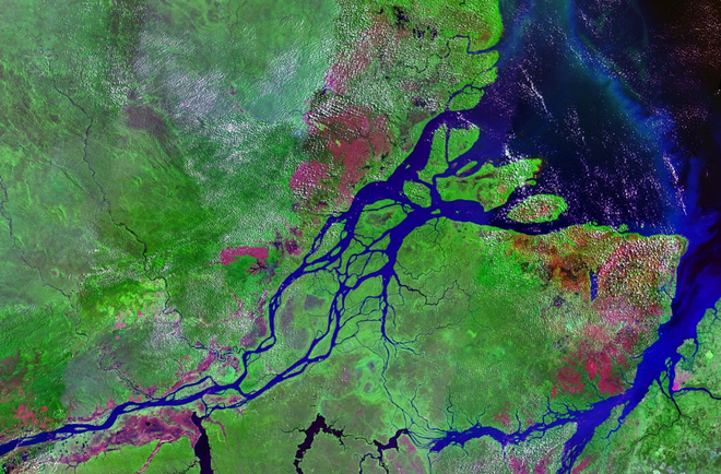 Delta do Rio Amazonas registrado por satélite (Imagem: Reprodução/NASA)