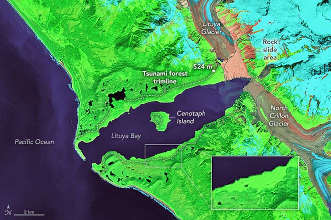 A imagem de satélite, feita em novembro de 2020, revela a linha de corte por toda costa da baía, onde as árvores foram arrancadas pelo tsunami (Imagem: Reprodução/NASA)