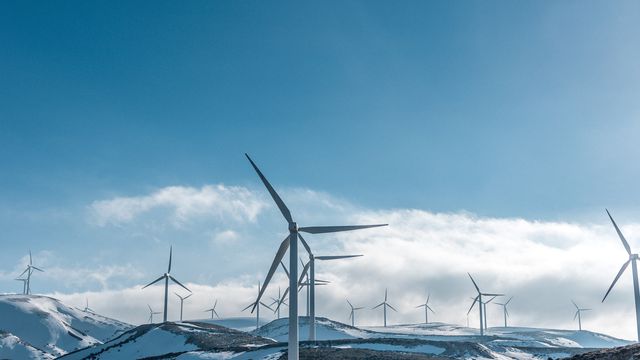 Decathlon Portugal passa a consumir 100% de energia renovável em lojas e  unidades logísticas