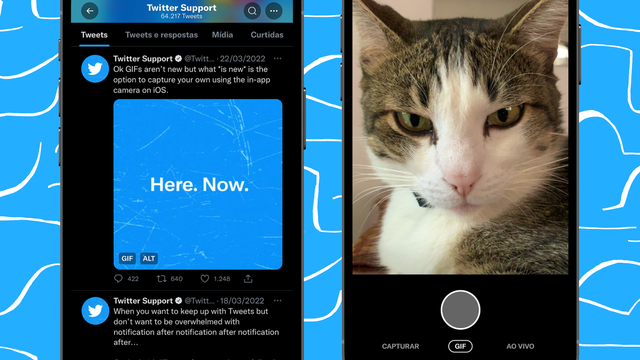 Twitter lança ferramenta para criar GIF direto no app; aprenda a