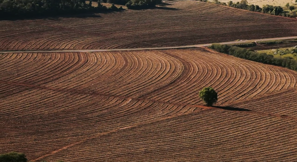 10 documentários incríveis sobre o meio ambiente e aquecimento global