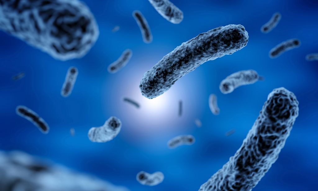 Não limpar a air fryer permite a proliferação de bactérias que fazem mal à saúde (Imagem: claudioventrella/envato)