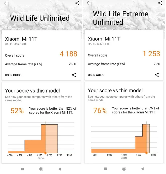 Pontuação do Xiaomi 11T no 3D Mark (Captura: Jucyber/Canaltech)
