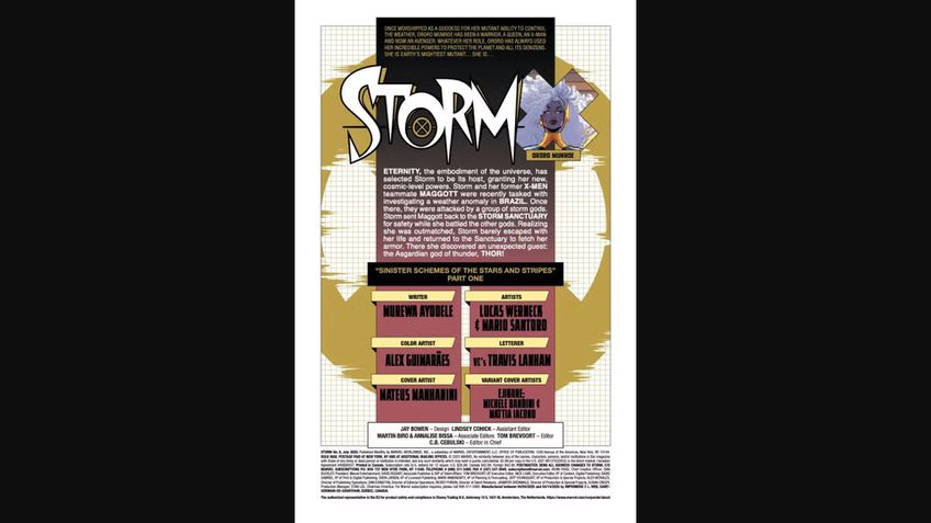 Prévia de Storm #8