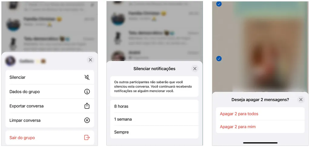 O menu de gerenciamento pode estar diferente em algumas versões do WhatsApp (Imagem: Captura de tela/André Magalhães/Canaltech)