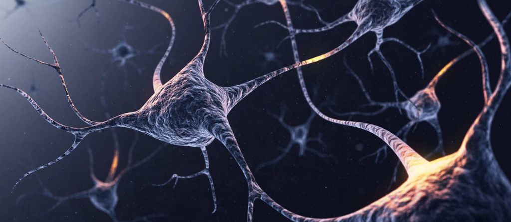 Cientista propõe aplicar os conhecimentos obtidos com redes neurais artificiais para analisar o cérebro humano (Foto: Reprodução/ Meio)