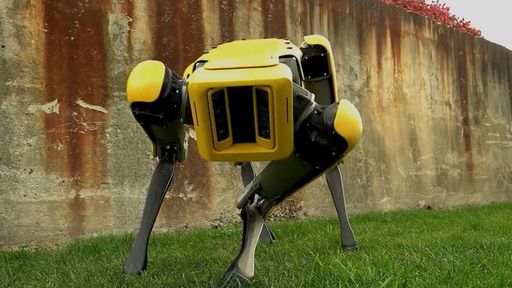 Cão-robô Spot agora pode ser operado remotamente por um simples navegador web