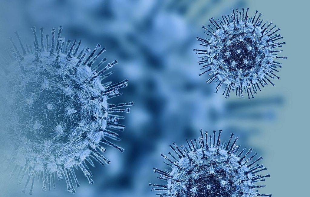 Pesquisa aponta que variantes híbridas do coronavírus têm baixa circulação (Imagem: Reprodução/ Fernando Zhiminaicela/ Pixabay)