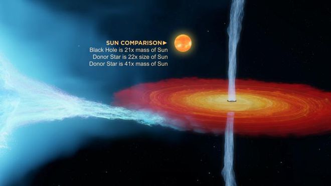 A imagem compara o buraco negro Cygnus X-1 com o Sol (Imagem: Reprodução/ICRAR)