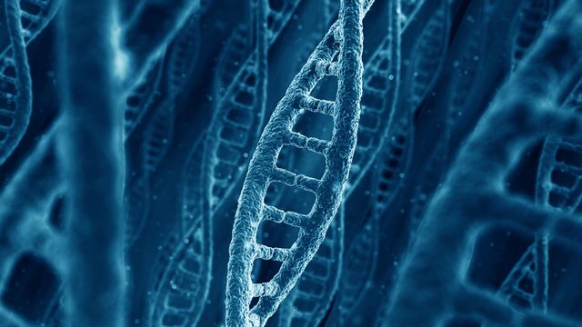 "Pendrive": Cientistas utilizam DNA para armazenar arquivos