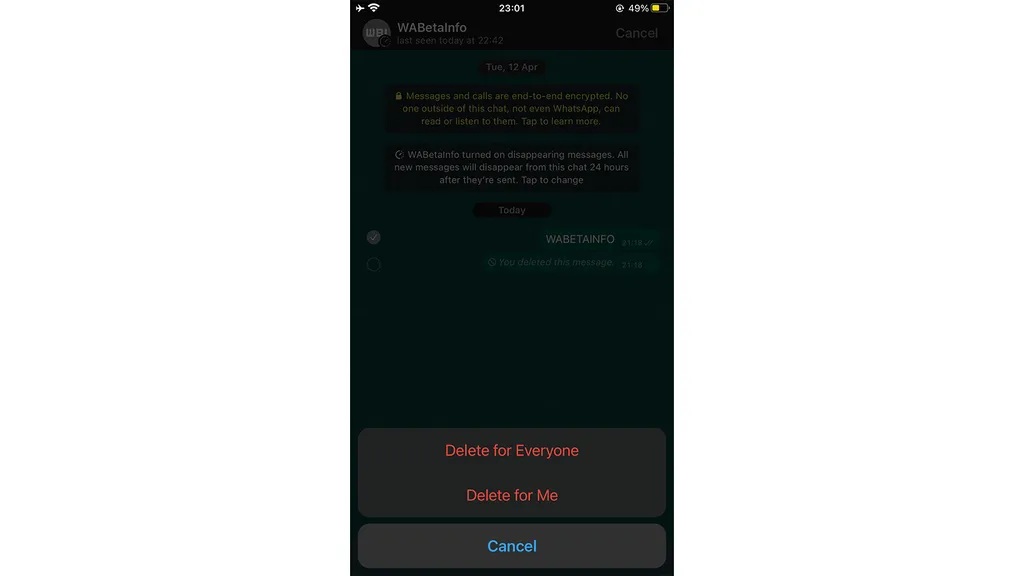 Testadores do Zap no iPhone já podem apagar mensagens enviadas após mais de uma hora e dez minutos (Imagem: Reprodução/WABetaInfo)