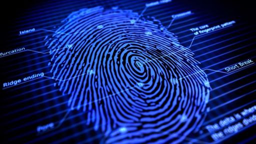 Brasil é o segundo país que mais perdeu dinheiro com crimes cibernéticos em 2017