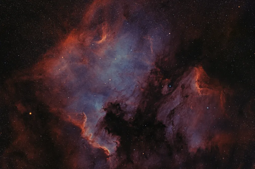 A Nebulosa da América do Norte e a Nebulosa do Pelicano aparecem juntas nesta foto (Imagem: Reprodução/Frank Sackenheim)