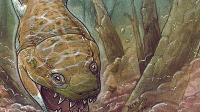 Reprodução/Gabriel Lio