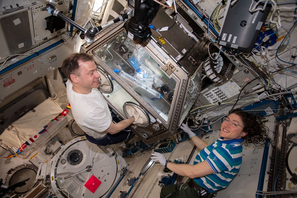 Os astronautas estadunidenses Nick Hague e Christina Koch conduzindo o experimento Cell Science-02 (Foto: NASA)