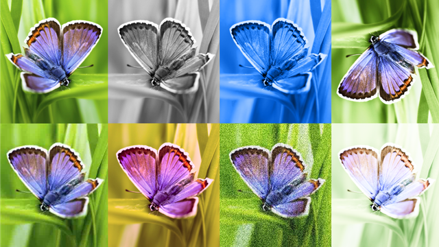 Divulgação/Google DeepMind