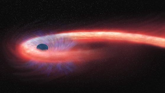 Um buraco negro engolindo uma estrela, o processo resulta em uma espaguetifação (Imagem: Reprodução/NASA/CXC/M. Weiss)