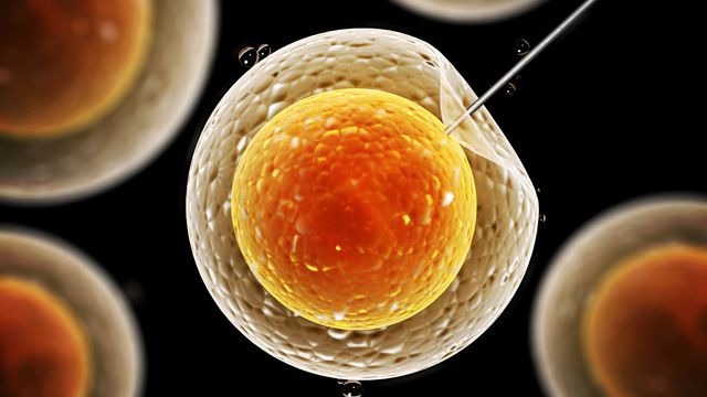 Pela primeira vez a ciência conseguiu modificar DNA de embriões humanos