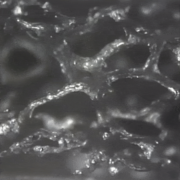 Compressão da espuma de grafeno (Imagem: Reprodução/Purdue University)