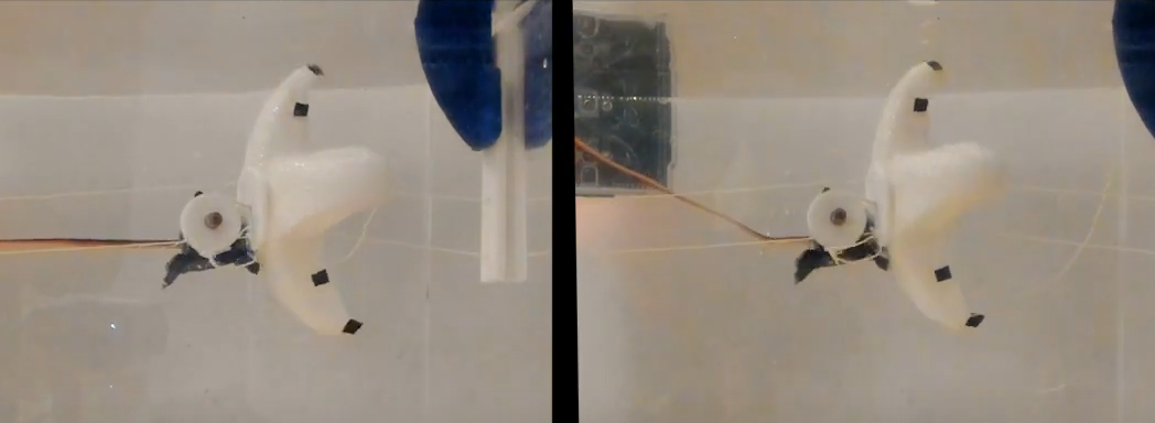 Corpo feito de espuma de silicone ajuda na flutuação do robô (Imagem: Reprodução/MIT)