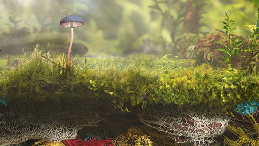 Couro sintético feito com cogumelos pode ajudar a salvar o planeta