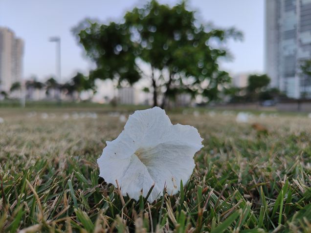 Realme GT 2 Pro: câmera principal