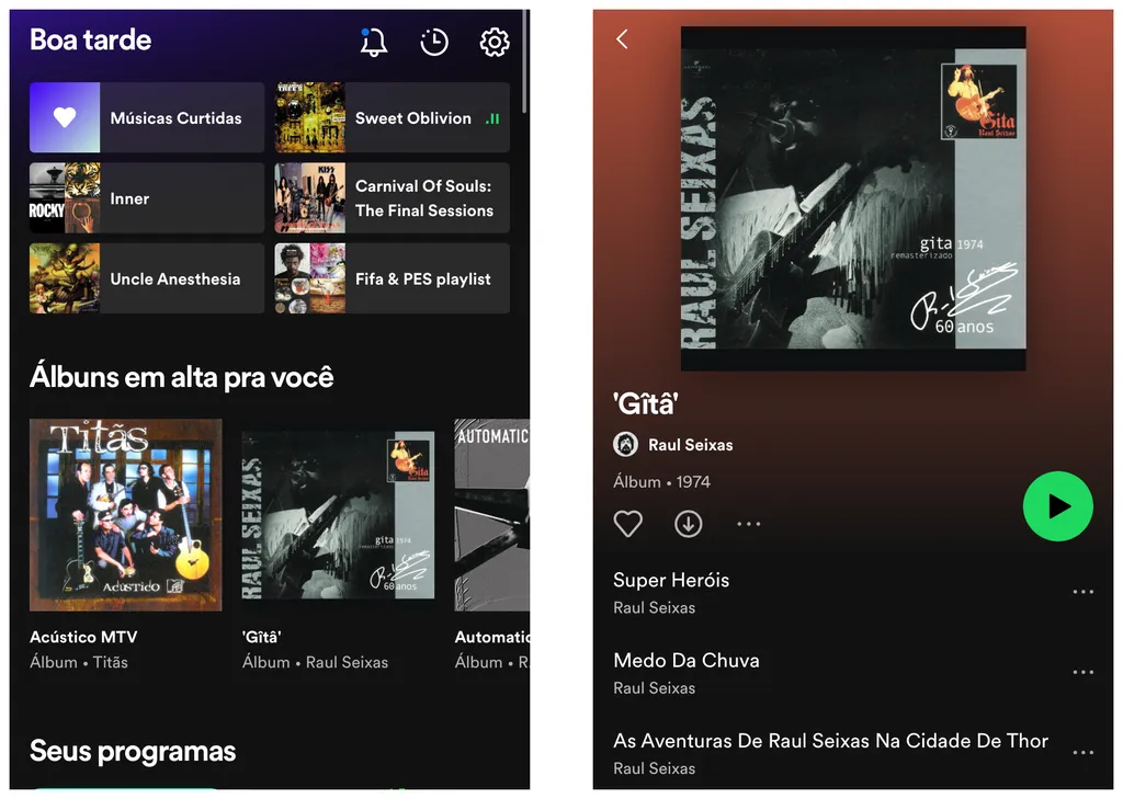 O Spotify tem uma excelente interface e oferece variadas opções de plano para download offline outros recursos (Imagem: Thiago Furquim)
