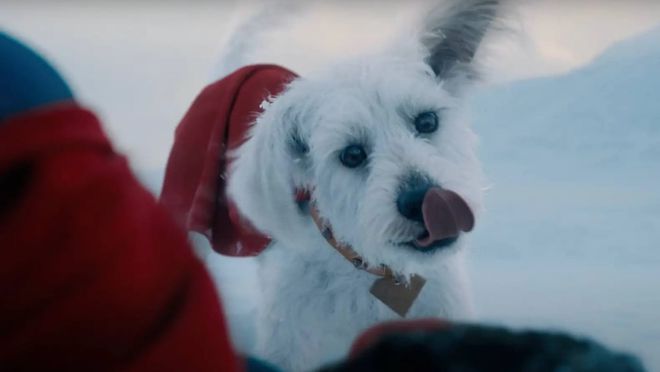Imagem do Krypto