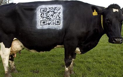 QR Code vaca QR Code vaca