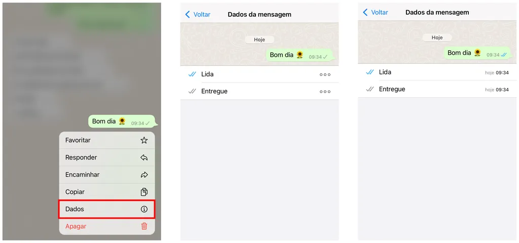Acessando "Dados" você pode conferir se uma mensagem foi lida no WhatsApp (Captura de tela: Canaltech/Felipe Freitas)