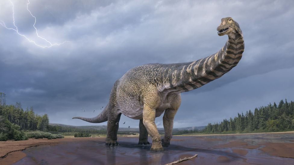 Um gigante chileno: Atacamaticán, um dinossauro herbíforo