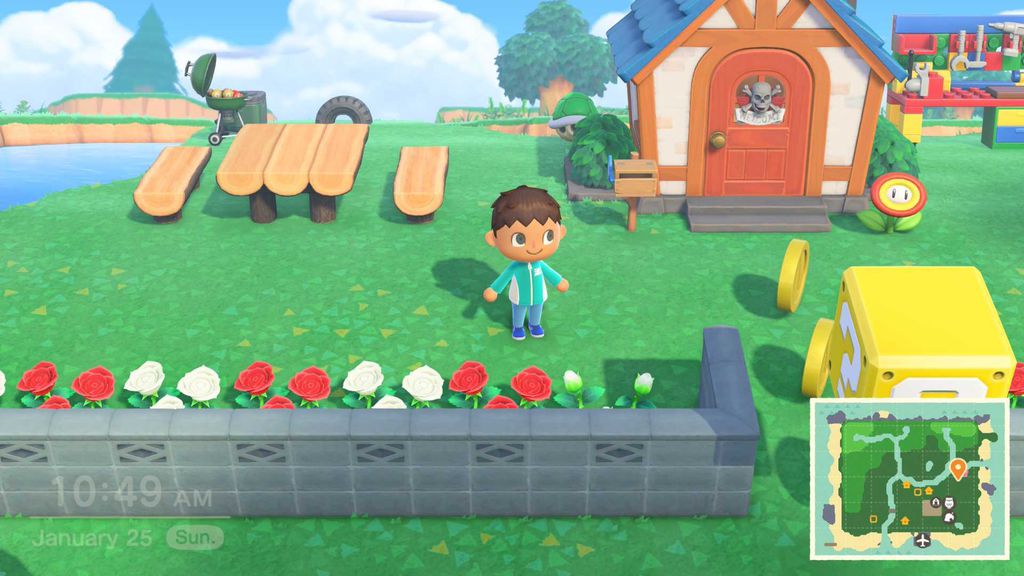 Imagem de Animal Crossing: New Horizons - Nintendo Switch 2 Edition