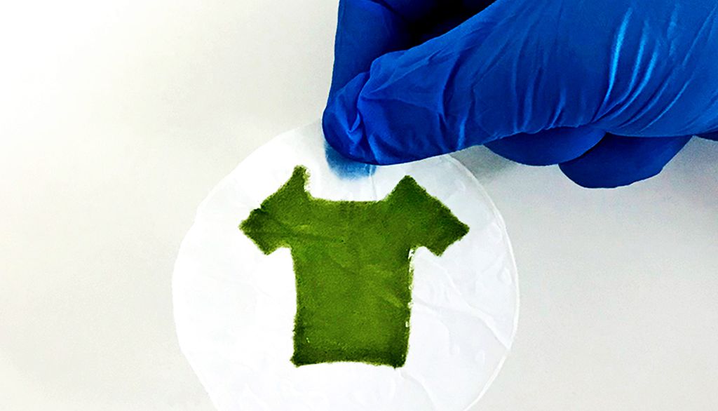 Minirroupa feita à base de algas em impressoras 3D (Imagem: Reprodução/University of Rochester)