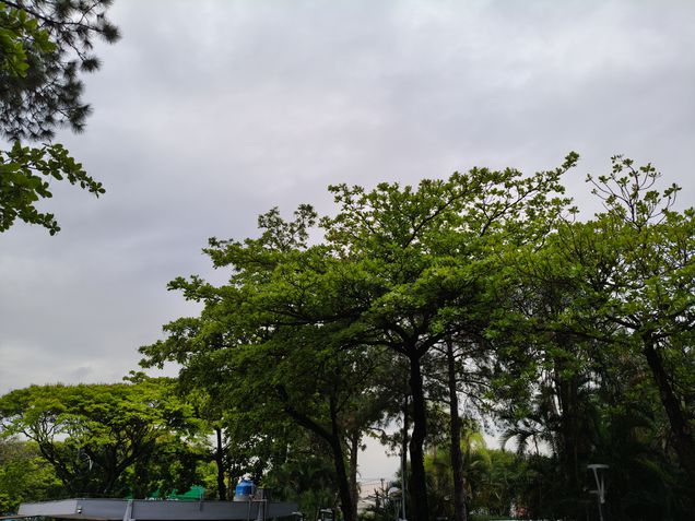 Teste de câmeras - Realme 15