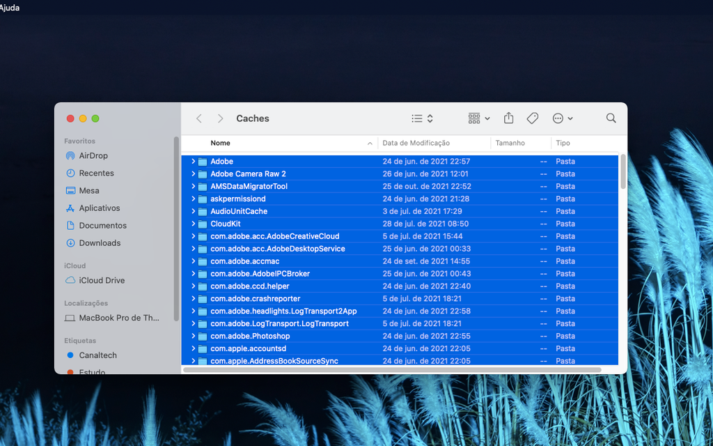 Mova para lixeira os arquivos temporários do Mac (Captura de tela: Thiago Furquim)