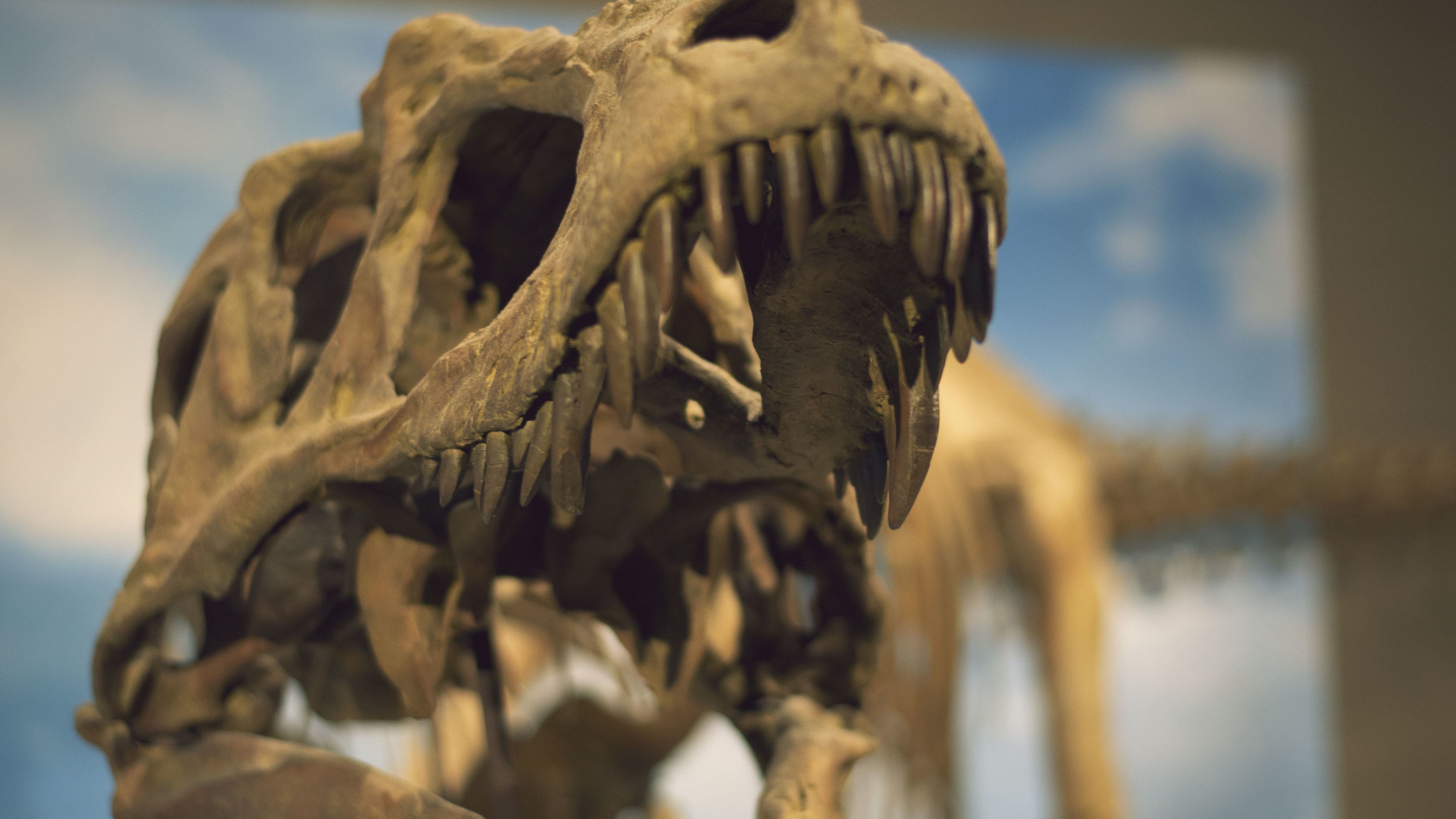 Fóssil de dinossauro tão perigoso quanto o T. Rex é encontrado no  Uzbequistão - Canaltech