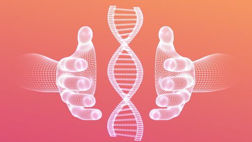 Genoma humano é sequenciado de forma completa pela primeira vez, diz estudo