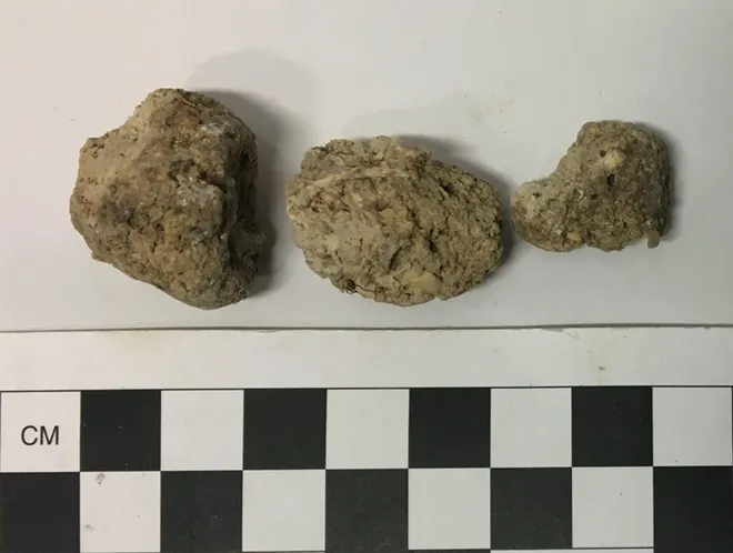 Alguns dos coprólitos encontrados em Durrington Walls (Imagem: Mitchell et al/Parasitology)