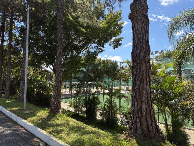 iPhone 17e - C&acirc;mera principal