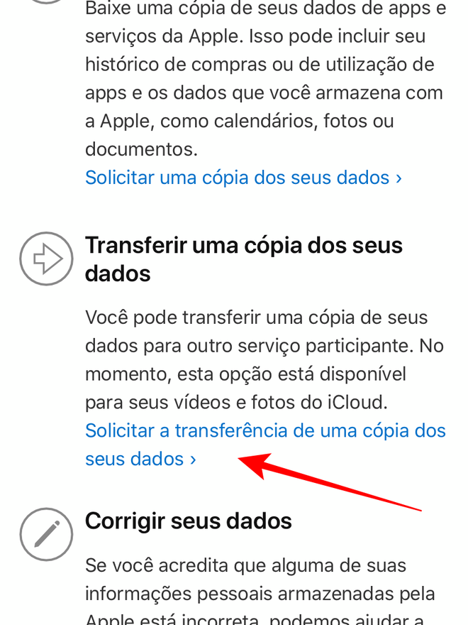 Solicite a transferência de cópia dos dados do iCloud - Captura de tela: Thiago Furquim (Canaltech)