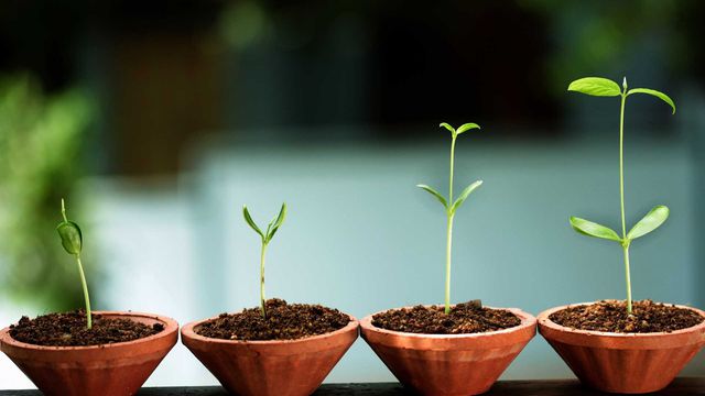 4 estágios de crescimento de uma startup