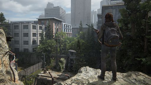 the last of us the last of us