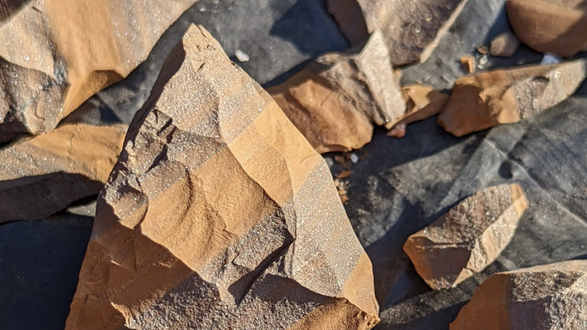 É uma ferramenta de pedra ou só uma rocha? Arqueólogos explicam como diferenciar