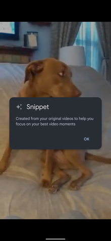 Google Fotos Snippets de Vídeo 2