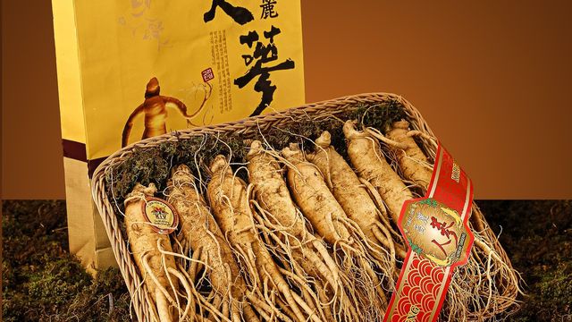 thuantri hoangde/pixabay